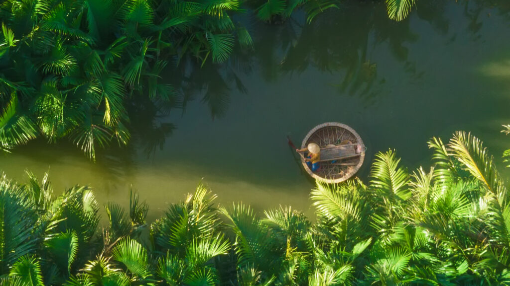 Bay Mau Coconut Forest