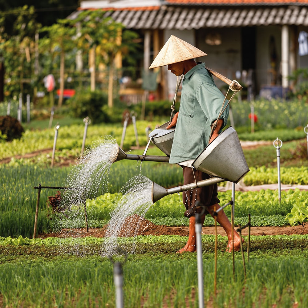Tra Que Vegetable Village